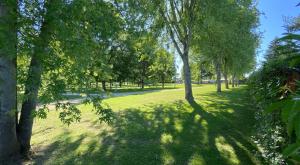 a park with trees and grass and a river at ZEcamping 3 étoiles animaux acceptés bar épicerie et restaurant in Auxonne +61 photos