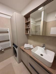 a bathroom with a sink and a washing machine at Sekvoja view apartment in Nová Baňa +11 photos