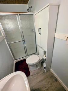 a small bathroom with a toilet and a shower at Riverside Vista in Pulaski +15 photos