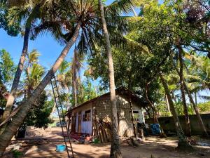 a small house in the middle of palm trees at Farmhouse Homestay in Negombo