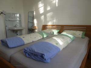 a bed with two pillows on top of it at Altes Schulhaus in Argenbühl +36 photos