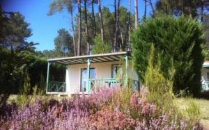 a house in the middle of a field with purple flowers at ZEcamping 4 étoiles animaux acceptés tennis pataugeoire in Tamniès