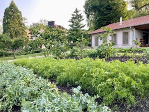 a garden of vegetables in front of a house at Bel Esprit - Chambres d'hôtes in Kalhausen