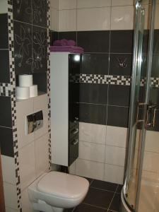a bathroom with a toilet and a shower at Cicha Przystań - Apartament Wyspa Solna in Kołobrzeg