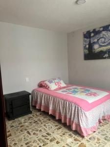 a bedroom with a bed with a pink blanket at Casa Altamirano in Chilpancingo de los Bravos