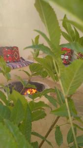 a plant in front of a fire in a room at Fekry house in Qaryat Ḩātim aţ Ţāʼī