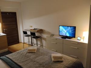 a bedroom with a bed and a flat screen tv at Donovaly Kamzík in Donovaly
