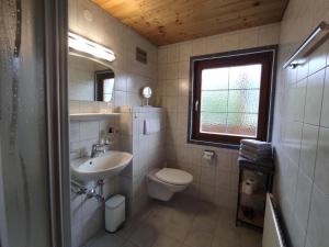 a bathroom with a sink and a toilet and a window at Haus Bergland in Kartitsch +75 photos