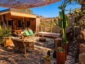 a house with chairs and cacti in a yard at Espacio Adobe - Hostal Boutique in Diego de Almagro +26 photos