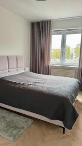 a bedroom with a large bed and two windows at Casa Nostra in Białystok +9 photos