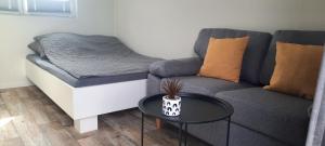a living room with a couch and a table at Surf Shack 3 - Zimmer am Strand, Parkplatz, WLAN, Kiten, Surfen, Chillen im Gemeinschaftsgarten, Naturstrand, Restaurants und Geschäfte in 5 Minuten erreichbar, lockere Atmosphäre in Dahme