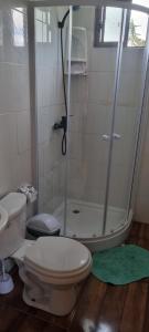 a bathroom with a shower and a toilet and a sink at Cabaña Vicente del Mar in Isla Negra