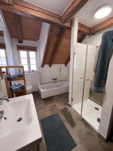a bathroom with a sink and a shower at Ferienwohnung Hansnhof in Wilhelmsthal