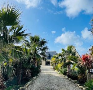 a pathway lined with palm trees in front of a house at Alice Cottage in Cléder
