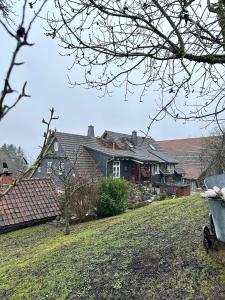 a group of houses on a hill with a yard at Ferienwohnung Hansnhof in Wilhelmsthal