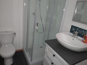a bathroom with a shower and a toilet and a sink at 35 m2 independent studio in Marillet