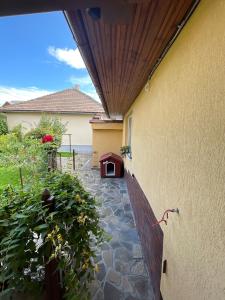 a patio with a dog house on the side of a building at Casa Eden in Baia Mare