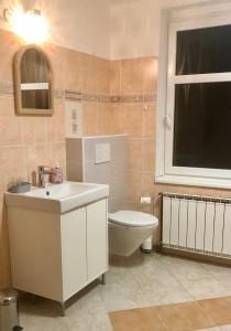 a bathroom with a sink and a toilet and a window at Apartmány Apollón in Liberec +20 photos