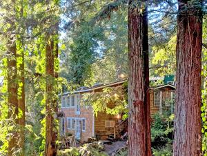 a log cabin in the woods with trees at The Ivywood in Guerneville