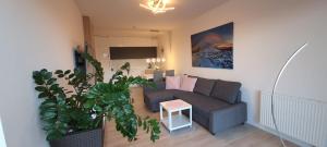 a living room with a couch and a plant at Triventi Apartament Rajski in Karpacz