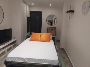 a small bedroom with a bed and a television at Iglu in Villeneuve-le-Roi