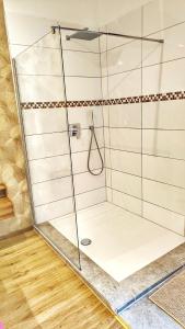 a shower with a glass enclosure in a bathroom at AMORE 69 bei Greta in Marl