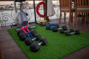 a toy train on a patch of green grass at Princess Farida Luxury Dahabiya Nile Cruise, Every Monday from Luxor to Aswan 4 nights and Every Friday from Aswan to Luxor 3 nights in Luxor