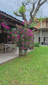 a bush with pink flowers in a yard at Loft centro do universo in Arroio do Sal