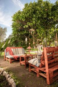 two wooden benches and a table and a tree at Beautiful cottage house at Mesokampos in Samos +28 photos