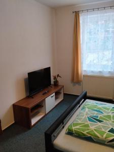 a living room with a flat screen tv and a bed at Apartmán Bokova chata in Nové Hutě
