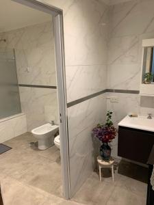 a bathroom with a shower and a toilet and a sink at Casita de Noe in Tandil