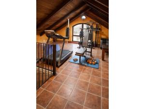 an attic gym with a treadmill and a treadmill at Chalet in Rivero de Posadas with Pool in Rivero de Posadas