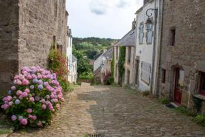 an alley with pink flowers on the side of a building at Centre ville Douarnenez in Douarnenez