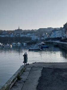 a body of water with boats in a harbor at Centre ville Douarnenez in Douarnenez +2 photos