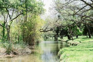 a river with trees and grass next to a field at Messina Inn in Wimberley