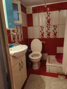 a small bathroom with a toilet and a sink at CasaLoco in Mediaş