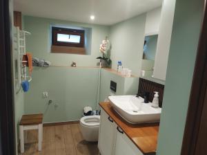 a bathroom with a sink and a toilet at Apartament in Rabka-Zdrój +10 photos