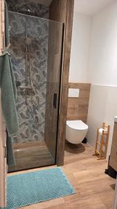 a bathroom with a shower and a toilet at Maison Ty Bian Prieuré in Pleubian