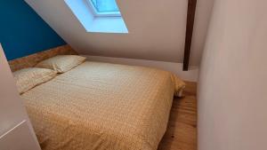 a bedroom with a bed and a skylight at Maison Ty Bian Prieuré in Pleubian