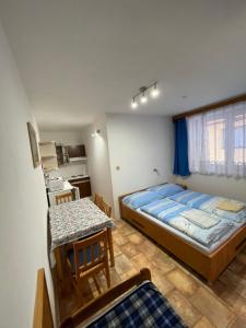 a small room with a bed and a kitchen at ubytování MILUMI in Strážnice
