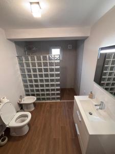 a bathroom with a toilet and a sink at Refugio do Alto de Levira in Anadia +4 photos