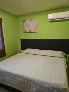 a bedroom with a white bed in a green wall at Casa Quinta Real in Cedro