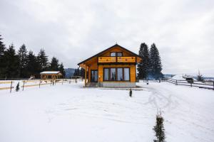 a small cabin in a snow covered field at Cabana Almora in Dorna Arini