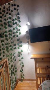 a wall with a curtain with leaves on it at Doña Mayra Aparta Hotel, Rustico in Las Terrenas