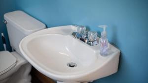 a bathroom with a white sink and a toilet at Grizzly Grotto in Red Lodge +26 photos