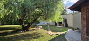 two dogs walking under a tree in a yard at Chalet Nuevo Amanecer in Merlo