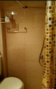 a bathroom with a toilet and a tiled shower at Habitación con baño privado in La Plata