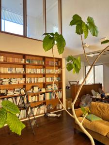 a library with wooden bookshelves filled with books at Urara Holiday in Sumoto