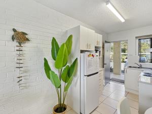 a kitchen with a white refrigerator and a plant at Beachside Apartment Overlooking Caseys Beach in Batehaven