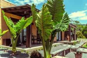 a house with large green plants in front of it at Mayan Farm House and Villas, Noosa Hinterland in Kin Kin